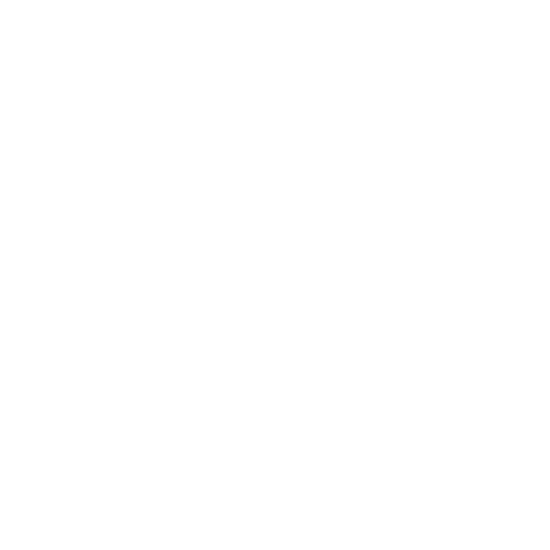 Shaesebastian LLC 