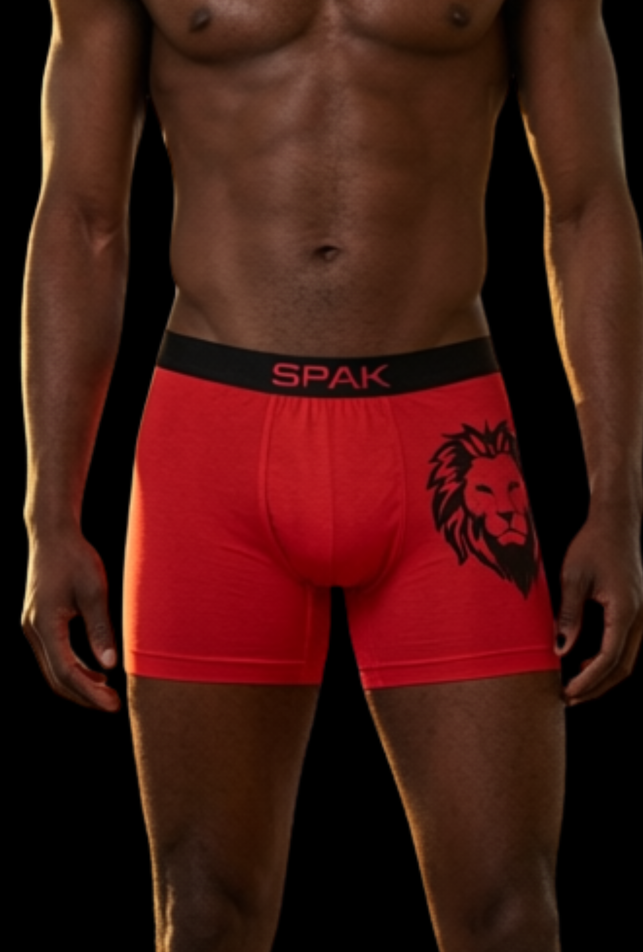 KINGDOM Boxer Brief